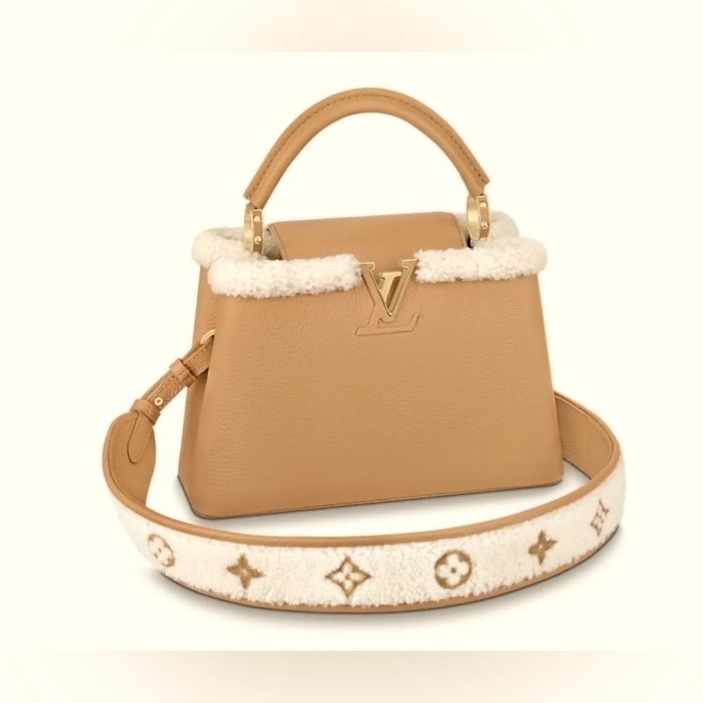 Limited Edition Louis Vuitton Capucines BB Bag - Picture 2 of 10